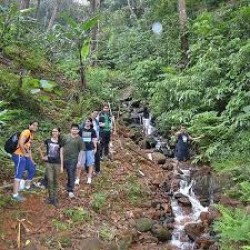 Trekking In Tadiandamol With Waterfall Visit In Coorg 1N/2D